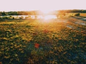 photo 1519092594141 c18a180c35c1 1