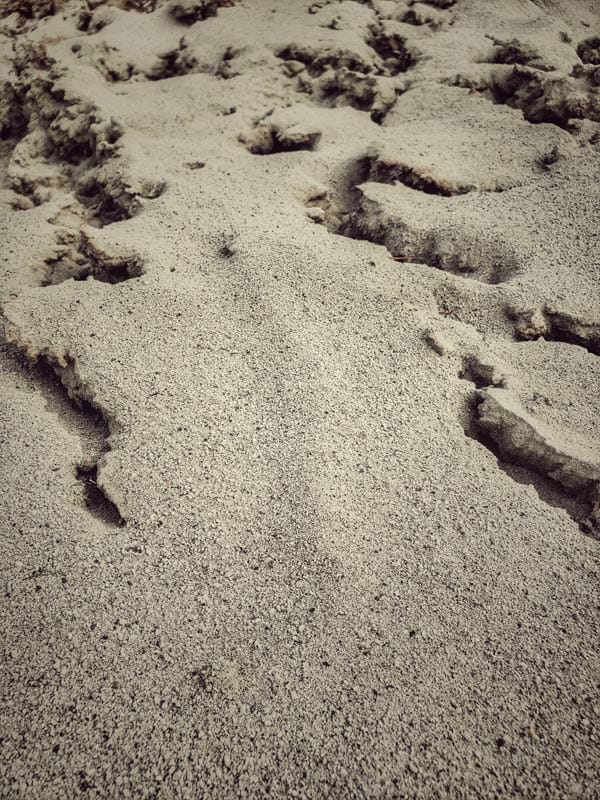 Big Ditch Dam Building Company. Bentonite spread on dam wall