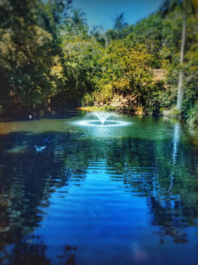 Big Ditch Dam Builder dam with fountain