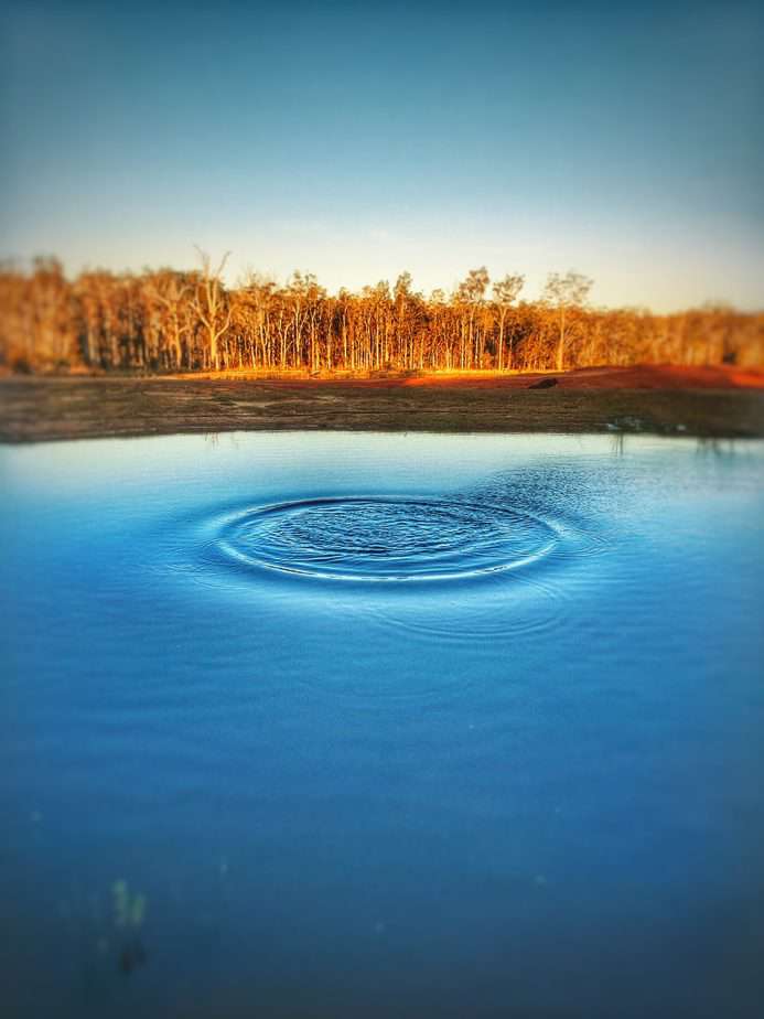 Big Ditch Dam Building Company Australia stone thrown into dam