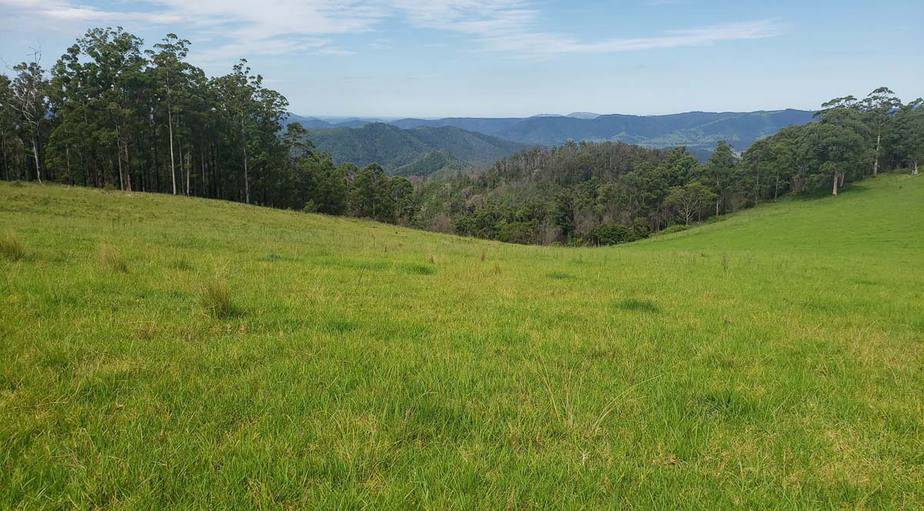 Big Ditch Dam Builders Yarras project