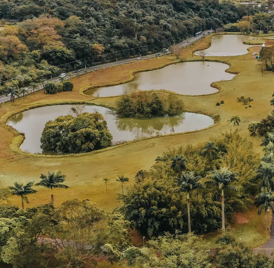 Big Ditch Dam Builders organic shaped dams