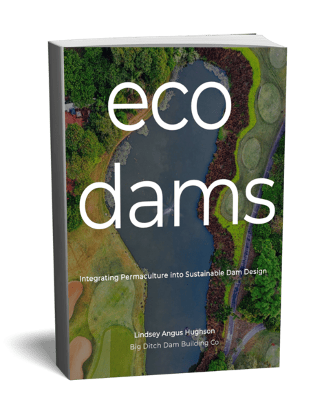 ECO DAMS cover3d-1243491-3