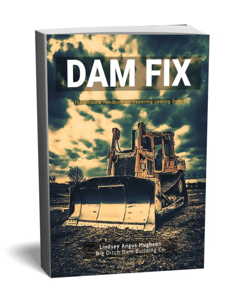 DAM FIX cover3d-1243449-3