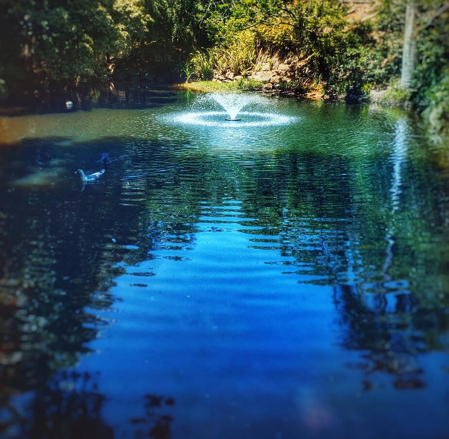 Big Ditch Dam Projects 001