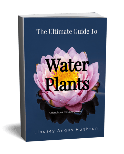 Water plants cover3d-1346770-3