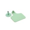 100x Cattle Ear Tags 5x4cm Set - Small Green Blank Sheep Pig Livestock Label