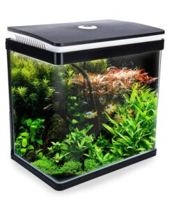 Aquarium Curved Glass RGB LED Fish Tank Set Filter Pump 30L