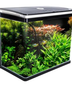 Aquarium Curved Glass RGB LED Fish Tank Set Filter Pump 52L