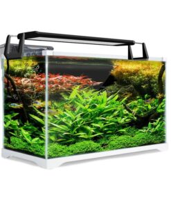 Aquarium Starfire Glass Fish Tank Set Filter Pump 39L