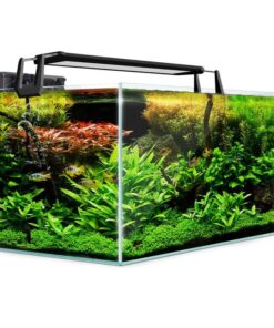Aquarium Starfire Glass Fish Tank Set Filter Pump 70L