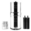 Phoenix Stainless Steel 6L with Fluoride & Smart Carbon Filter - No Stand