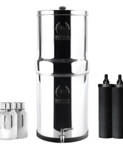Phoenix Stainless Steel 6L with Fluoride & Smart Carbon Filter - No Stand