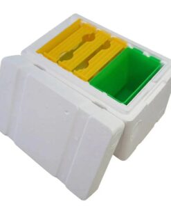 Mini Mating Box Queen Bee Rearing Plastic Styrene Foam Hive Harvest Copulation