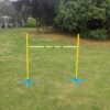 Portable Dog Puppy Training Practice Jump Agility Post