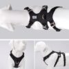 Whinhyepet Harness Black S