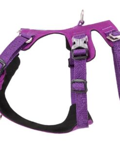 Whinhyepet Harness Purple L