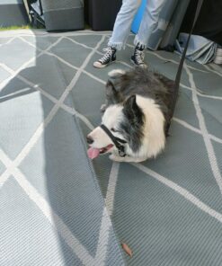 Diamond 4m x 2.4m recycled poly mat