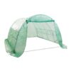Greenhouse Walk-In Shed 4x3x2M PE Dome Hoop Tunnel Polytunnel