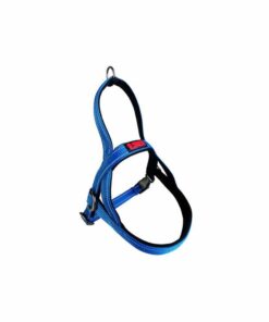 KONG Norwegian Blue Harness Extra Large