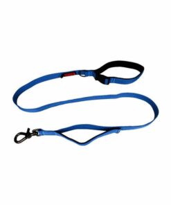 KONG Traffic Blue Leashes Medium