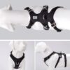 Whinhyepet Harness Black M