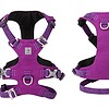 Whinhyepet Harness Purple 2XS