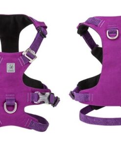 Whinhyepet Harness Purple 2XS