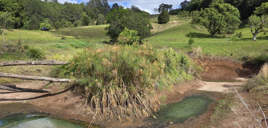 Big Ditch Dam Company Darleen & Geoffs completed dam visualisation_BEFORE