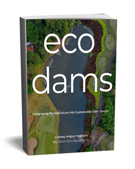 Aerial view of eco-friendly dam surrounded by lush greenery and water features.