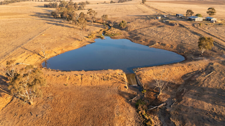 The Role Of Farm Dams | Big Ditch – Australia's Dam Experts