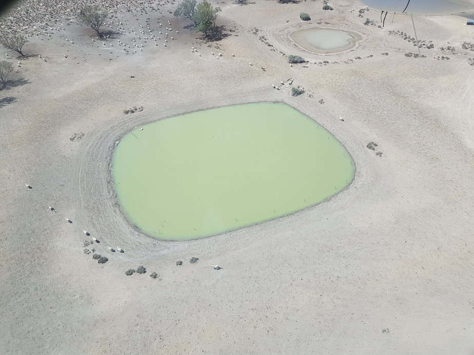 Aerial view of a green water pond at Big Ditch Aquatecture site.