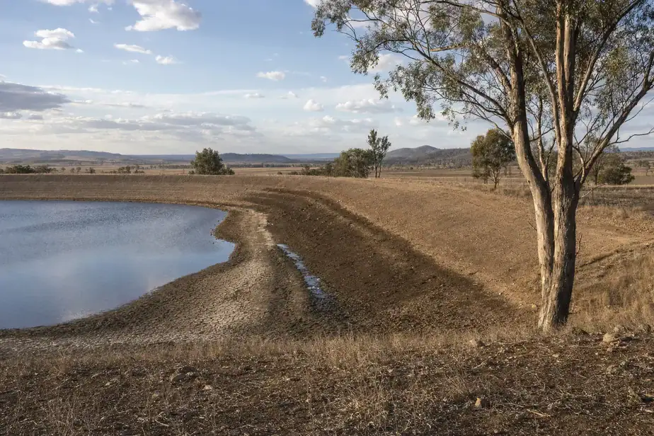 Water body with natural shoreline and sparse trees in a rural setting.