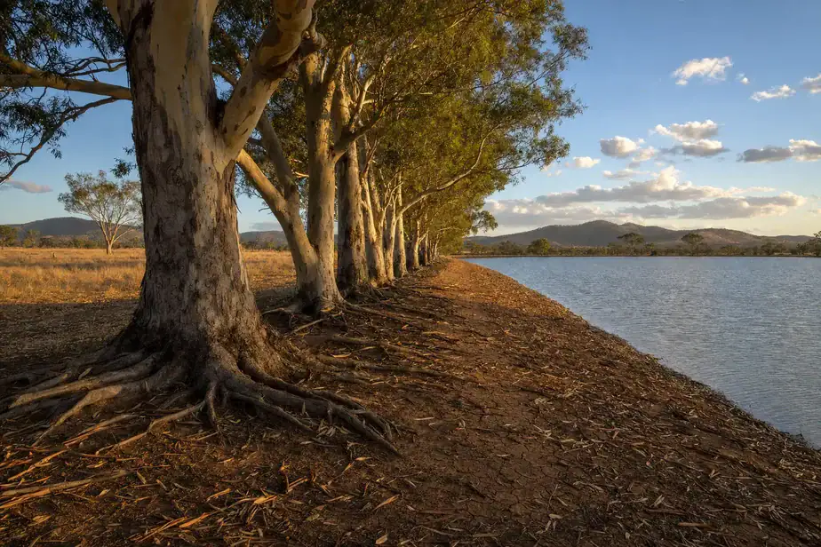 Natural lakeside landscape with trees and water at sunset, showcasing eco-friendly aquatecture desig.