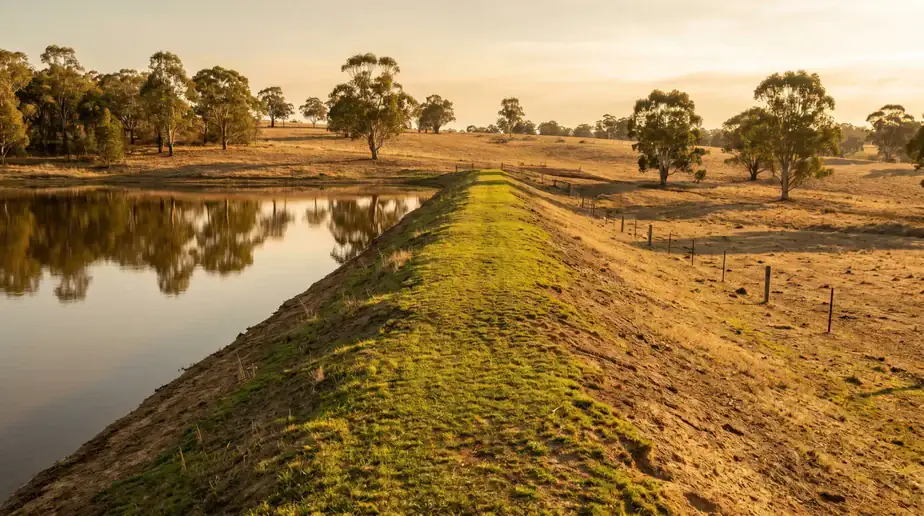 Serene landscape with waterway and trees at sunset.