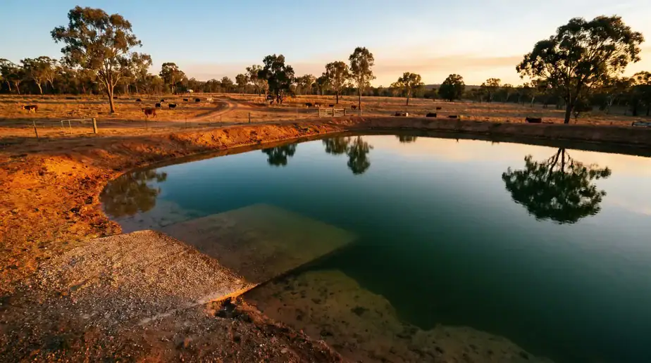 Aquatecture pond with natural surroundings and reflective water surface.