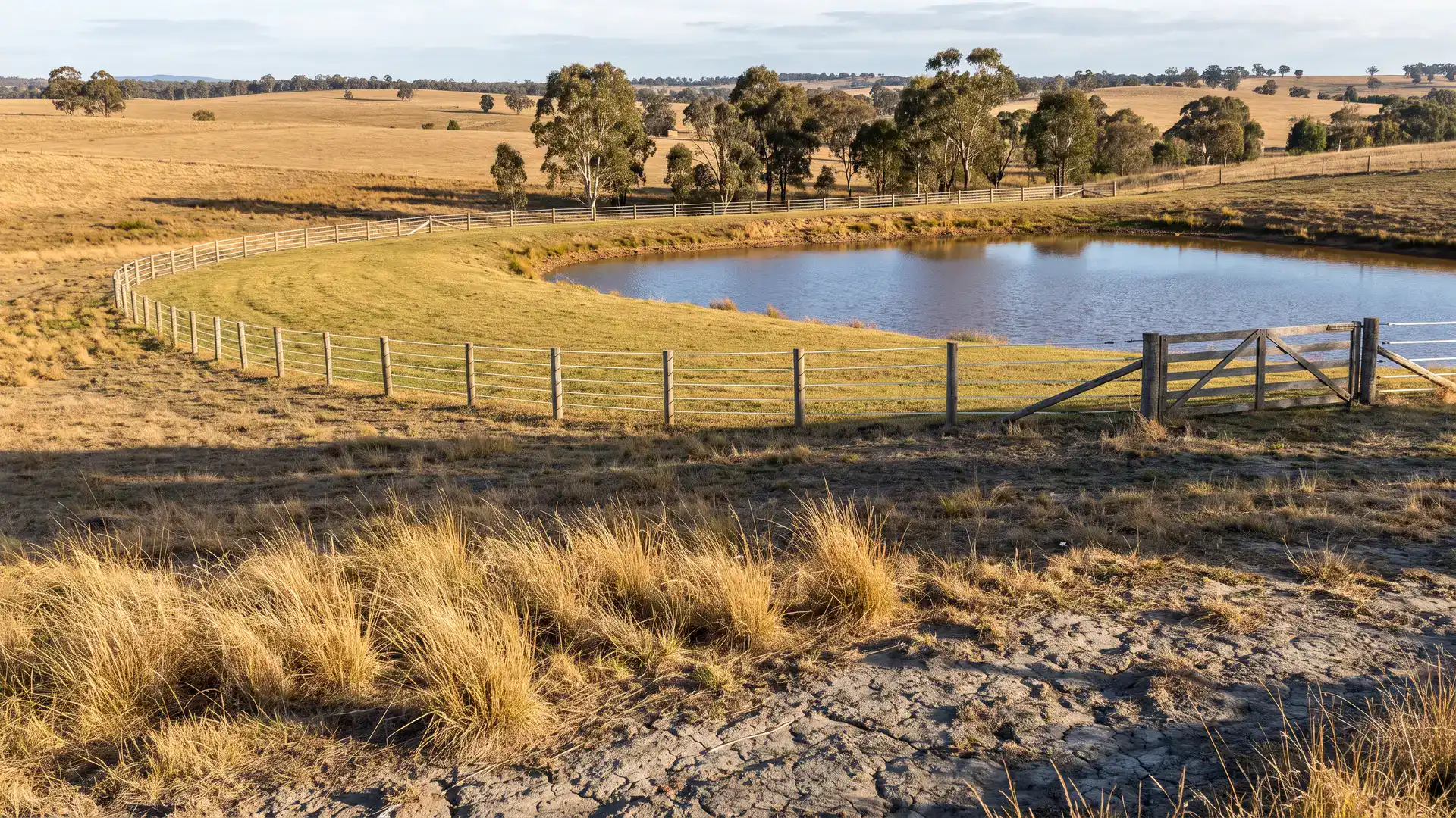 Farm dam fencing around a grassy buffer and closed access gate on a rural NSW property