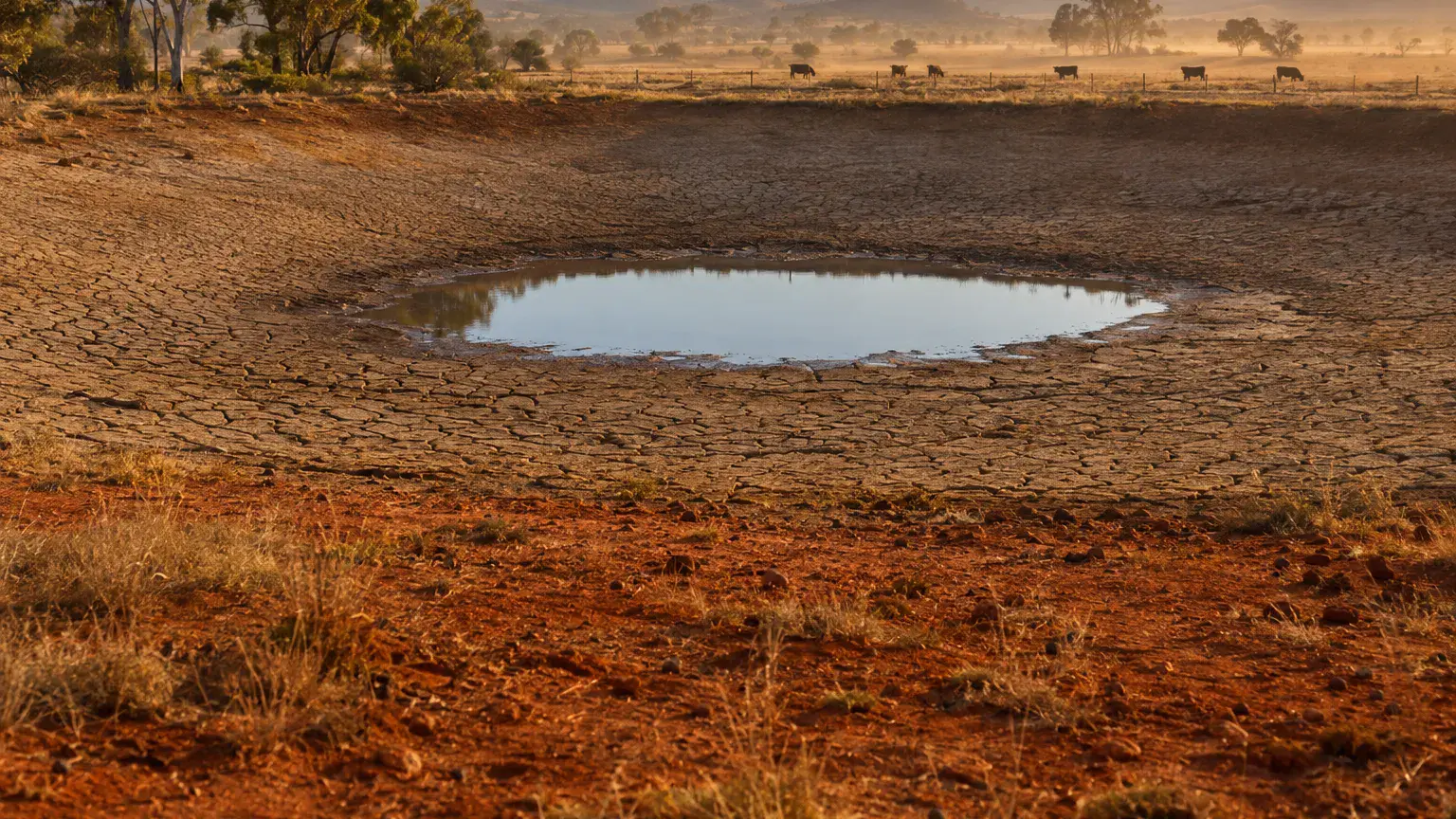 Drought dam shrunk to a small pool in cracked clay, showing climate change and evaporation on farms