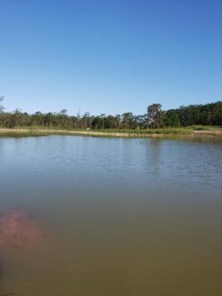 Clean water reservoir built by Big Ditch Dam Building Company for effective water management and dam construction.