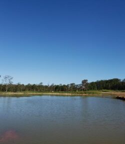 A serene dam construction site with water, trees, and clear blue sky, emphasizing professional dam building services.