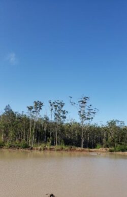 Heavy machinery builds dam across river in rural landscape for water resource management.