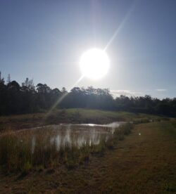 Bright sun over tranquil pond at Big Ditch Dam Building Company, environmental water dam setup.