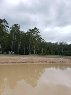 Heavy machinery building dam in forested area under overcast sky for dam construction.