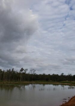 Large dam construction site with water, trees, and cloudy sky, Big Ditch Dam Building Company.