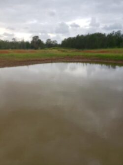Freshly constructed dam by Big Ditch Dam Building Company showcasing water containment and earthworks expertise.