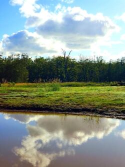 Heavy-duty dam construction site with water reflection and lush greenery.