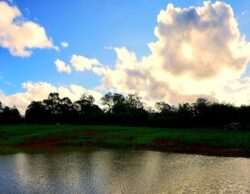 Heavy machinery building a dam using Big Ditch Dam Building Company techniques in a natural landscape.