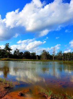 Lake with dam construction by Big Ditch Dam Building Company under blue sky and clouds.