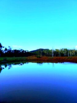 Heavy-duty dam construction by Big Ditch Dam Building Company for water management and infrastructure projects.