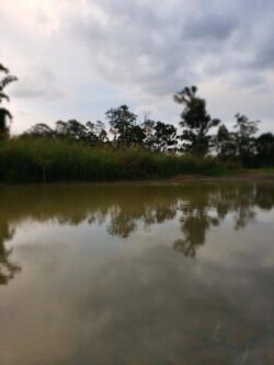 Dam construction by Big Ditch Dam Building Company with water reservoir and surrounding trees in Australia.